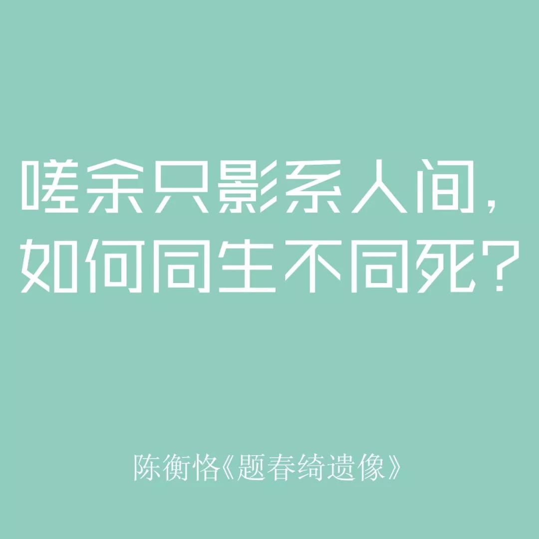 相親網站比較  全世界都在過情人節 而我只想說一句國潮情話 情感 第42張