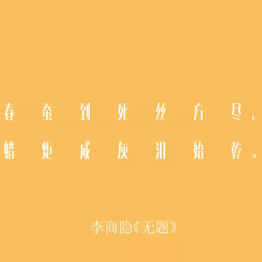 相親網站比較  全世界都在過情人節 而我只想說一句國潮情話 情感 第13張