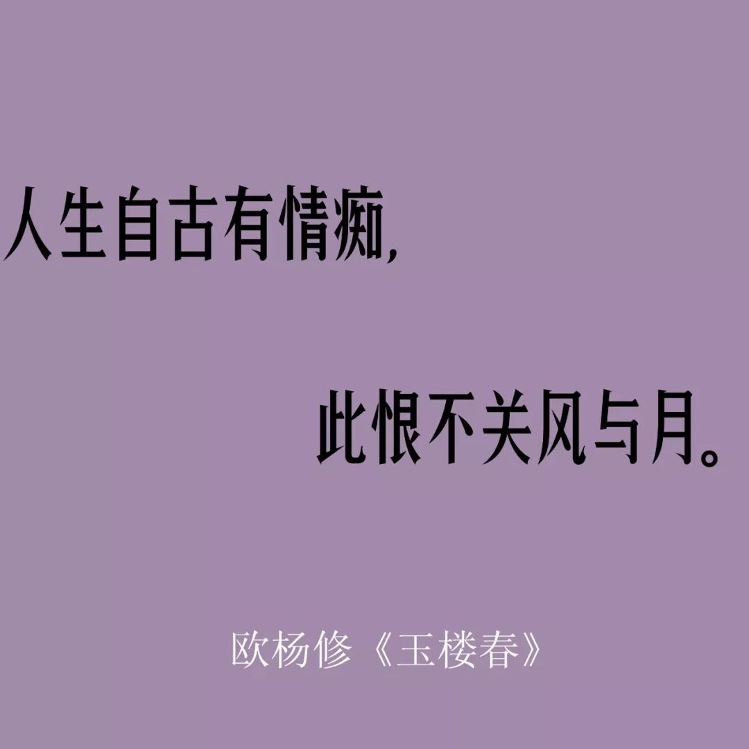 相親網站比較  全世界都在過情人節 而我只想說一句國潮情話 情感 第19張