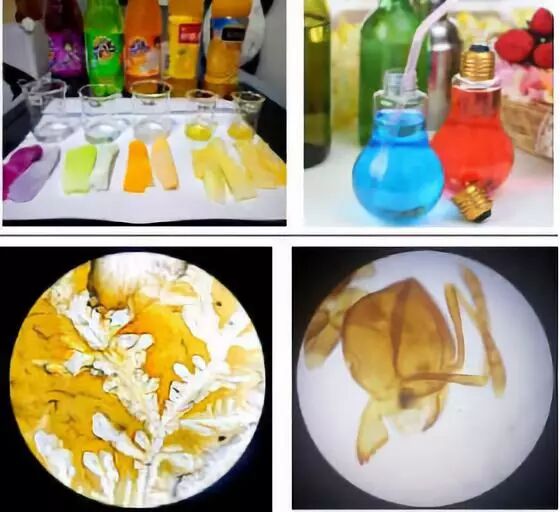 森林中过暑假|荒野生存夏令营及一天一夜夜宿营招募开启