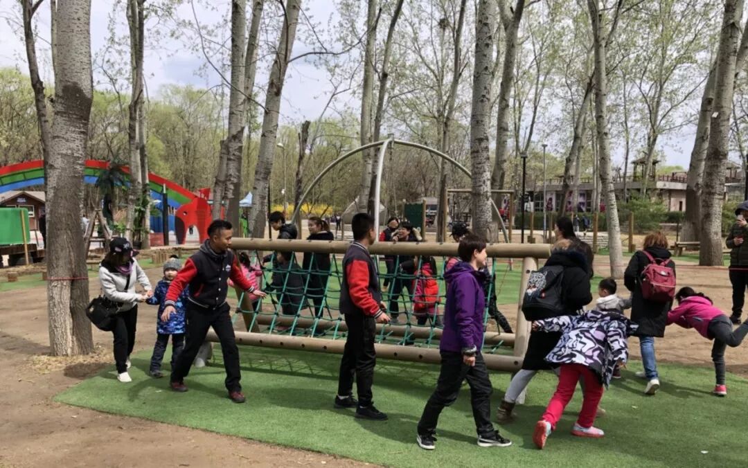 森林中过暑假|荒野生存夏令营及一天一夜夜宿营招募开启