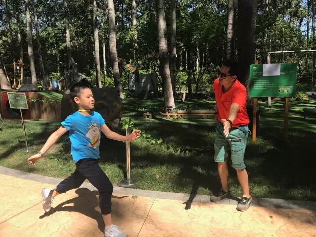 森林中过暑假|荒野生存夏令营及一天一夜夜宿营招募开启