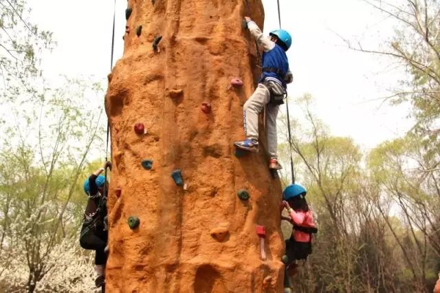 森林中过暑假|荒野生存夏令营及一天一夜夜宿营招募开启