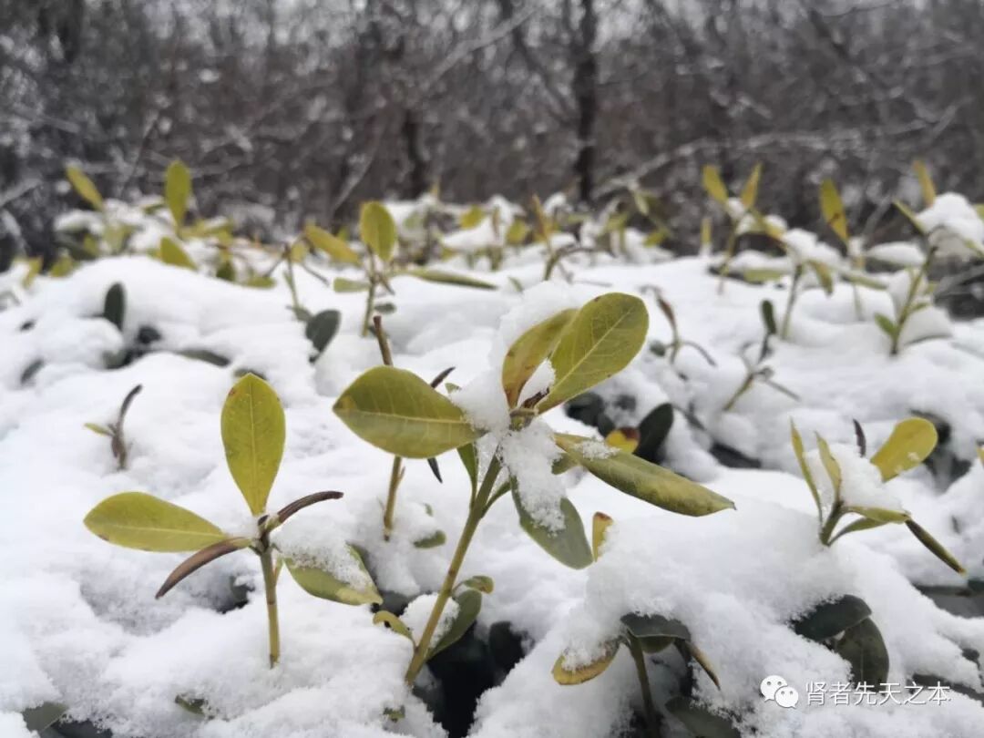 阳气不足，非要吃补药吗？