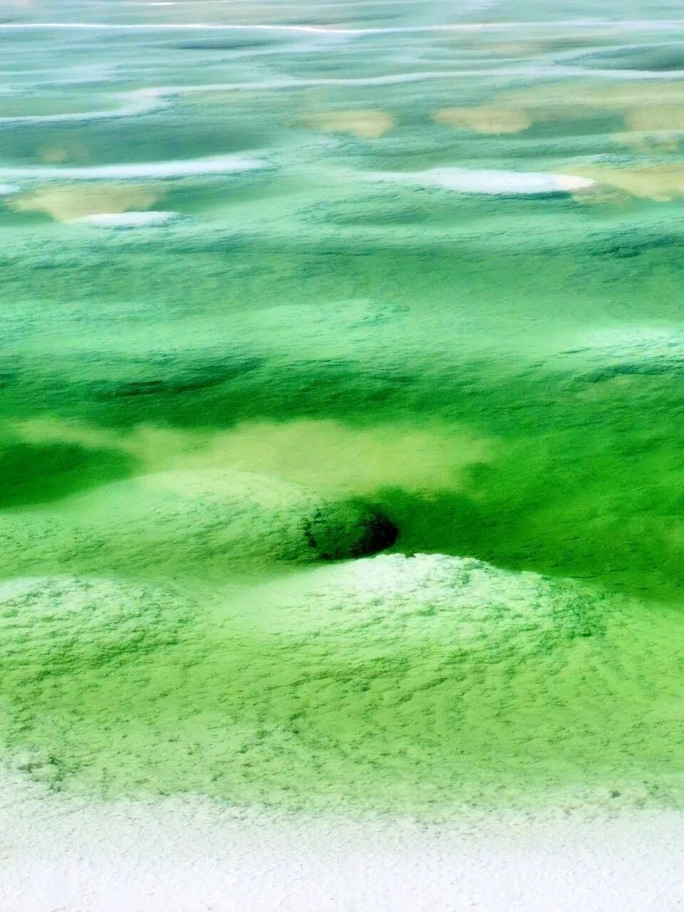 中国最孤独的城市，是北京3倍大，1平方公里只有1人，方圆350公里没有城市，每年有100万人被它美哭