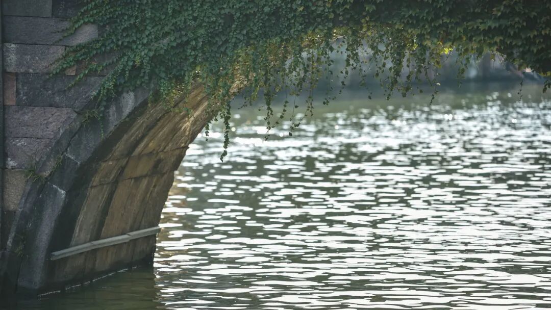 最佛系的江南小城藏不住了！凭“中国最美火车站”爆火，2.6亿网友心动：想去打地铺！