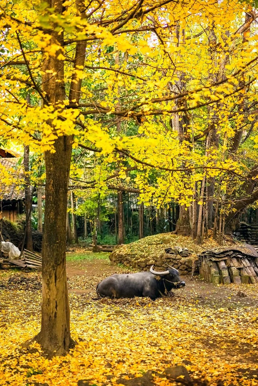 40歲前一定要去的40個地方，你還差幾個？ 旅遊 第33張