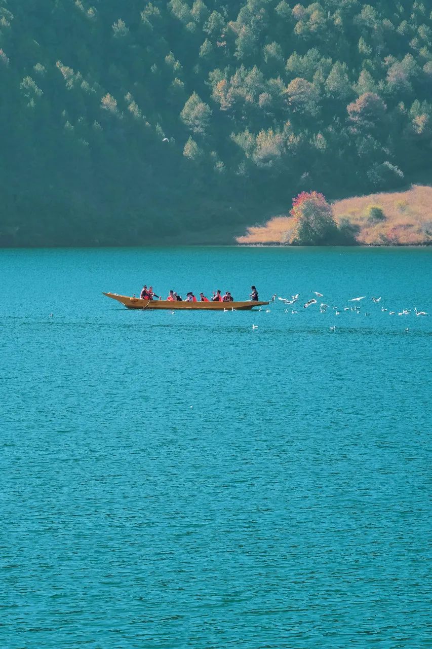泸沽湖的“水性杨花”美爆了，网友：糟糕！这是心动的感觉！