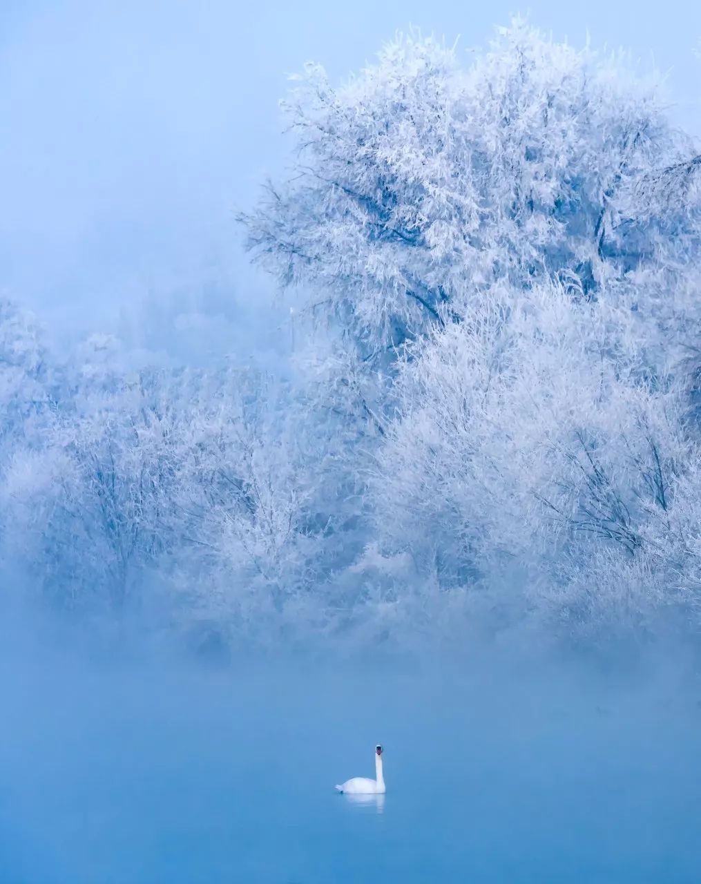 想等一個人，陪我看看雪後的中國 旅遊 第36張