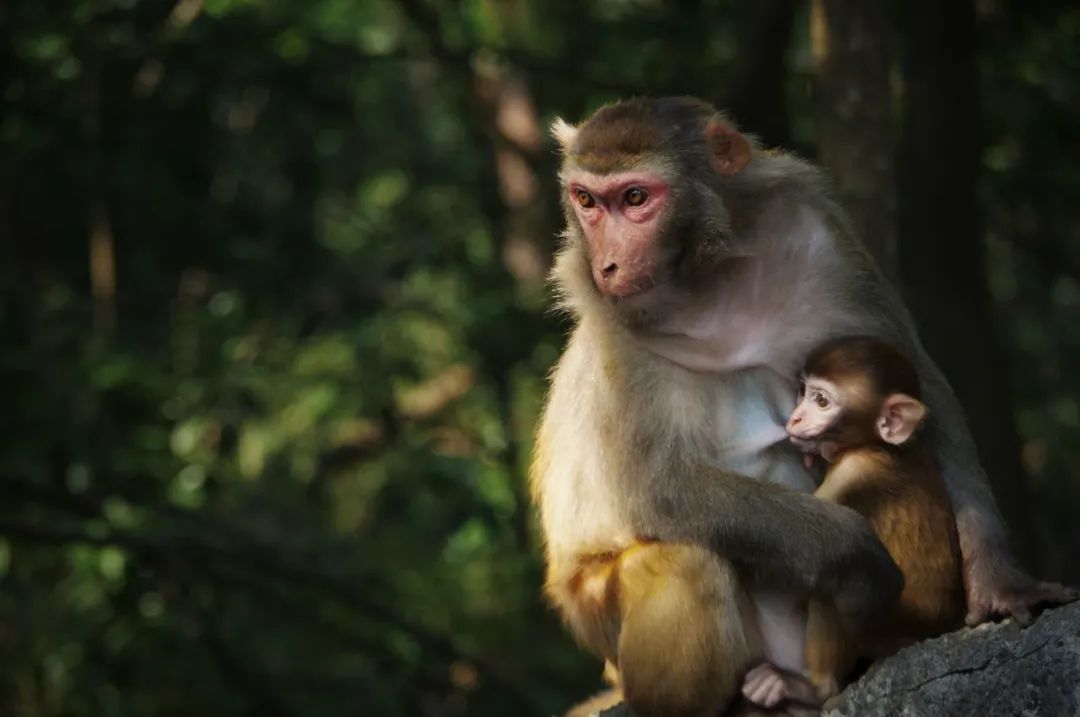 中国唯一的水下古城！沉睡湖底，任何人都不能去，超千年历史，登榜CNN摘下“中国最美”！