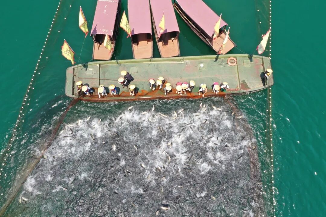 中国唯一的水下古城！沉睡湖底，任何人都不能去，超千年历史，登榜CNN摘下“中国最美”！