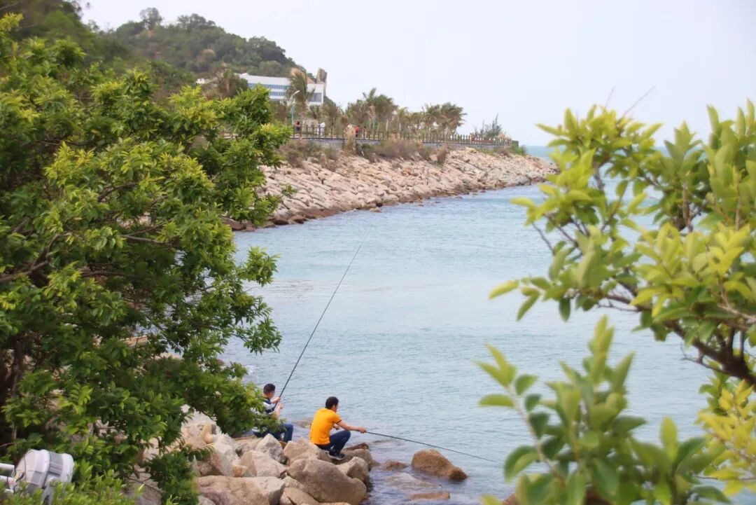 这个沿海小城是外国人最爱的中国城市NO.1，秒杀三亚，远超厦门，国内却榜上无名