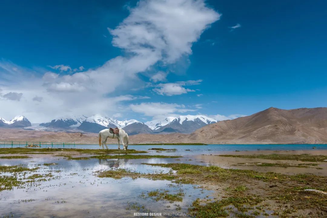 南疆是一種病，不去治不好；北疆是一種癮，去過戒不掉 旅遊 第38張