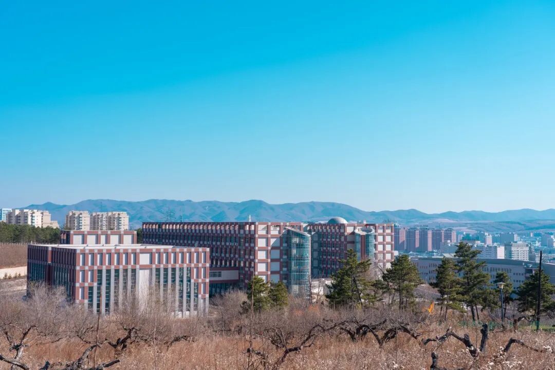 别只盯着哈尔滨了！东北这座边境小城，满街朝鲜语，好吃好玩，物价超低，让你一秒穿越！