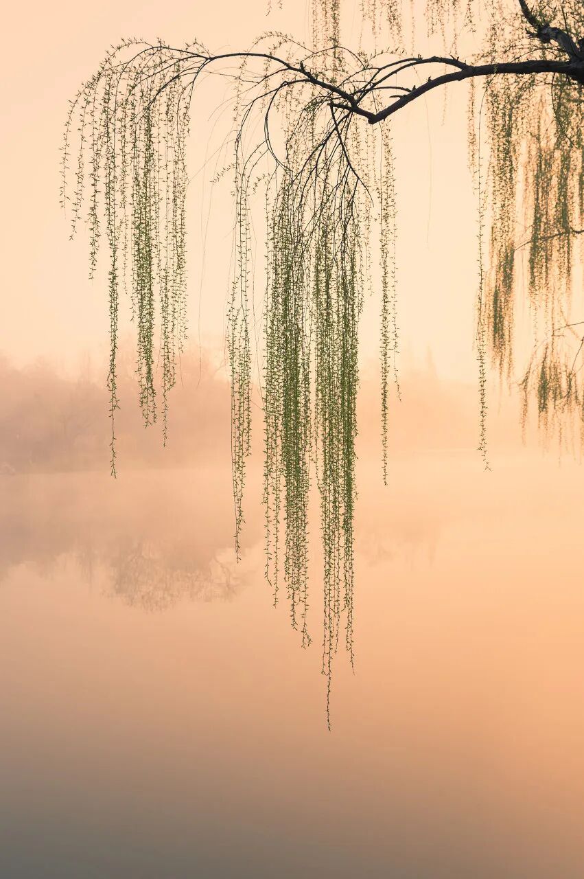 中国最宜居的城市，曾是世界No.1！比苏杭秀丽，比成都安逸，倦了就去小住几日