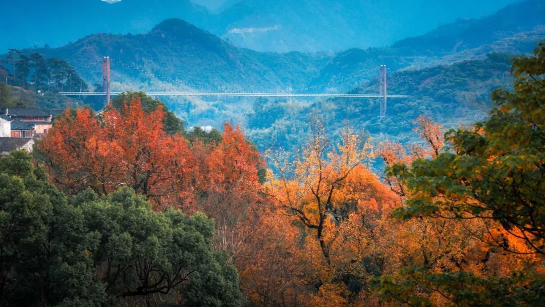 有一種秋天，叫婺源 旅遊 第40張