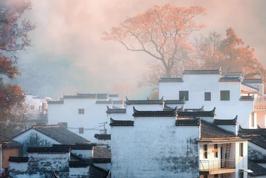 有一種秋天，叫婺源 旅遊 第11張