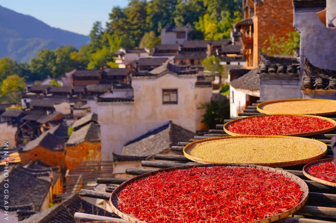 有一種秋天，叫婺源 旅遊 第4張