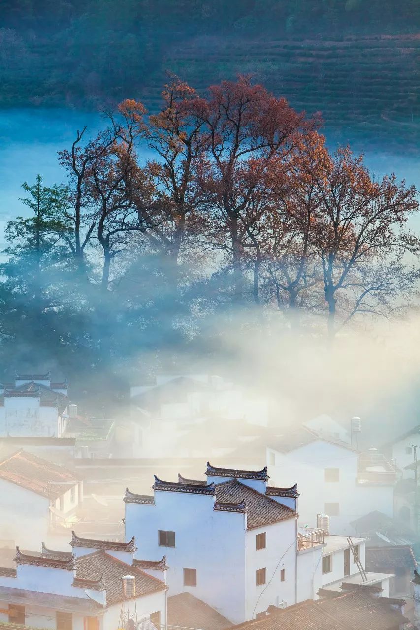 有一種秋天，叫婺源 旅遊 第23張