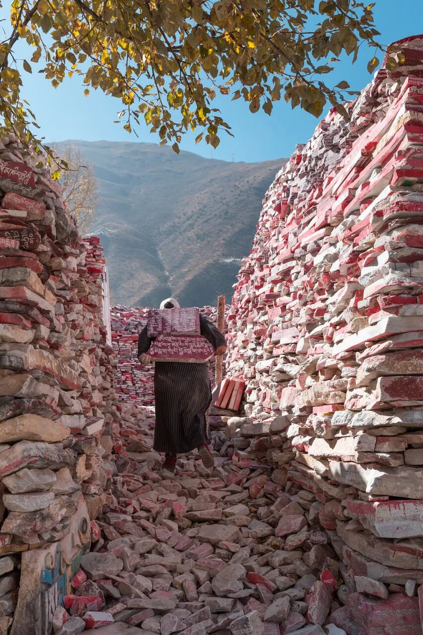 中国唯一门票全免的城市，藏着全国首个国家公园，每年只有2000人能进，比西藏更神秘