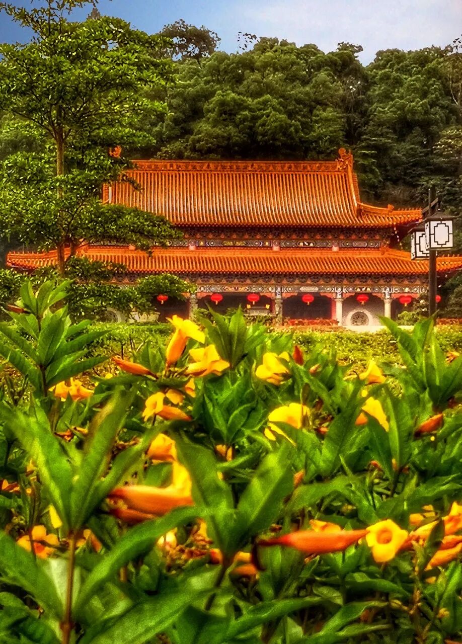 中国最“能熬夜”的城市，凌晨2点不睡觉，幸福感不输成都，小住几日太舒服！