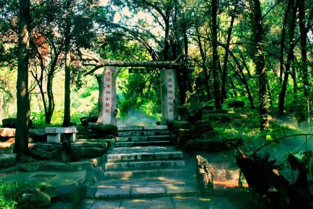 不是青岛！山东最“烟火”的小城，比丽江安逸，物价感人，美到心醉，凭一把烧烤让全国人民上瘾！