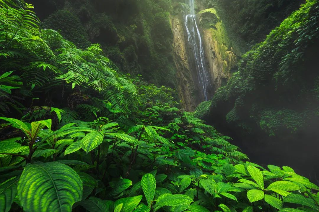 中国最“色”的边境小城，比昆明宜居，比桂林丰满，又甜又野，还稳居世界长寿Top1
