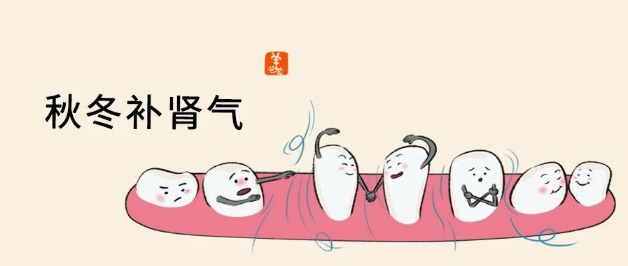 牙不好的、肾气不太充实的，要吃点坚果和豆子