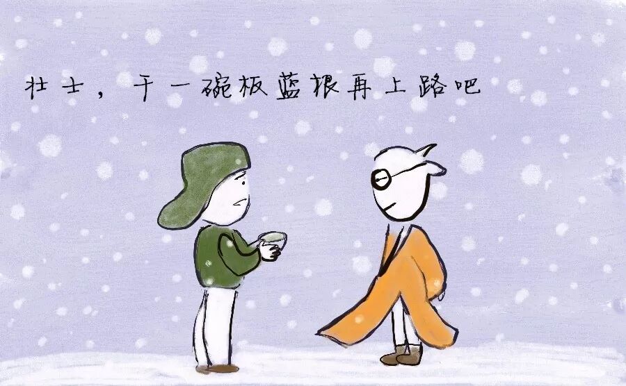 为什么板蓝根预防不了感冒呢？