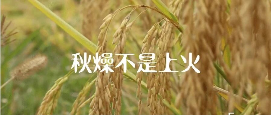 秋燥不是上火，吃清热的木有用