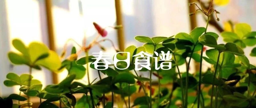 春季助长第二步，吃应季生发的菜