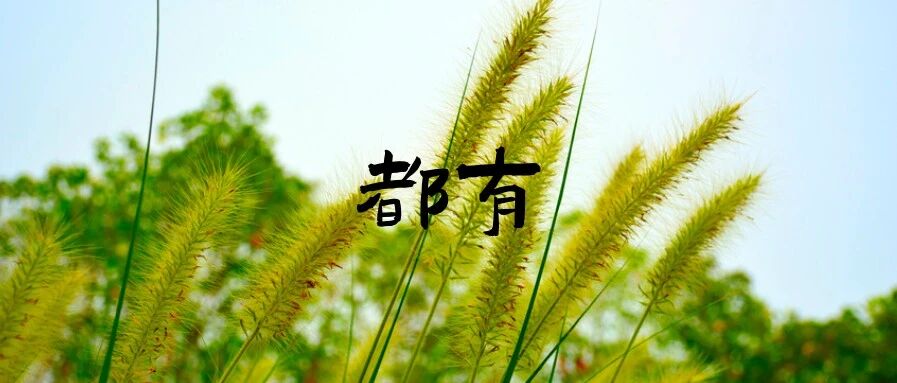 这感冒是受凉还是夏天贪凉造的孽？