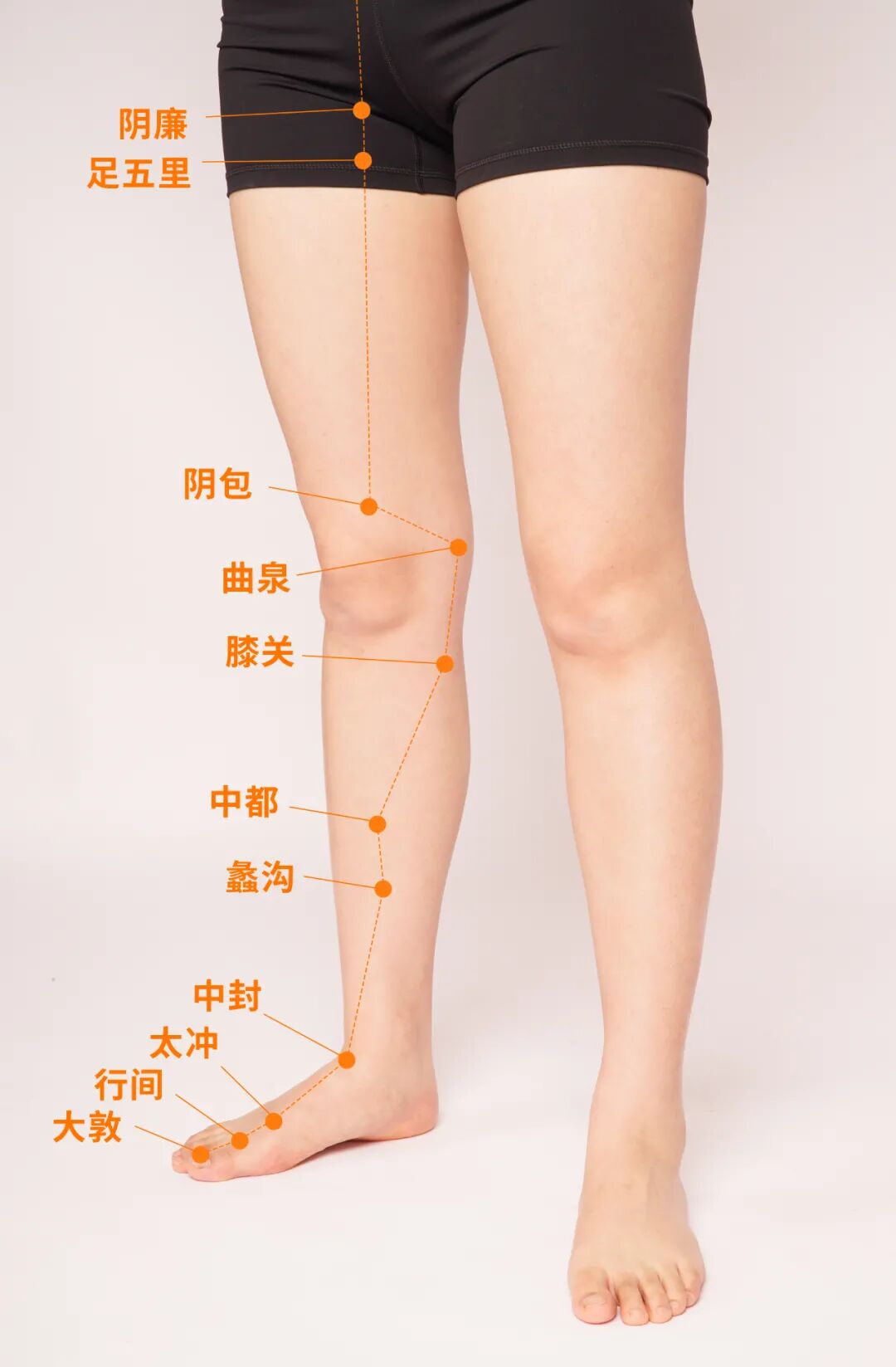 春天肝郁了爱发脾气,如何疏通肝经?-友友
