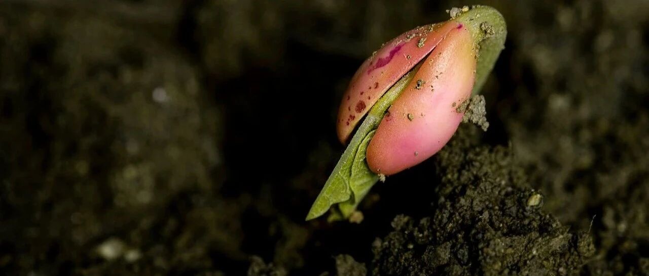 中医看急症也很快