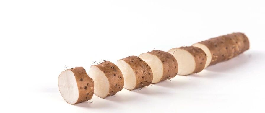 用好山药，你就是补脾补肾高手