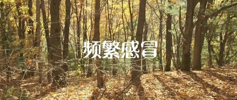 病案 | 脾胃弱，一上幼儿园就频繁感冒