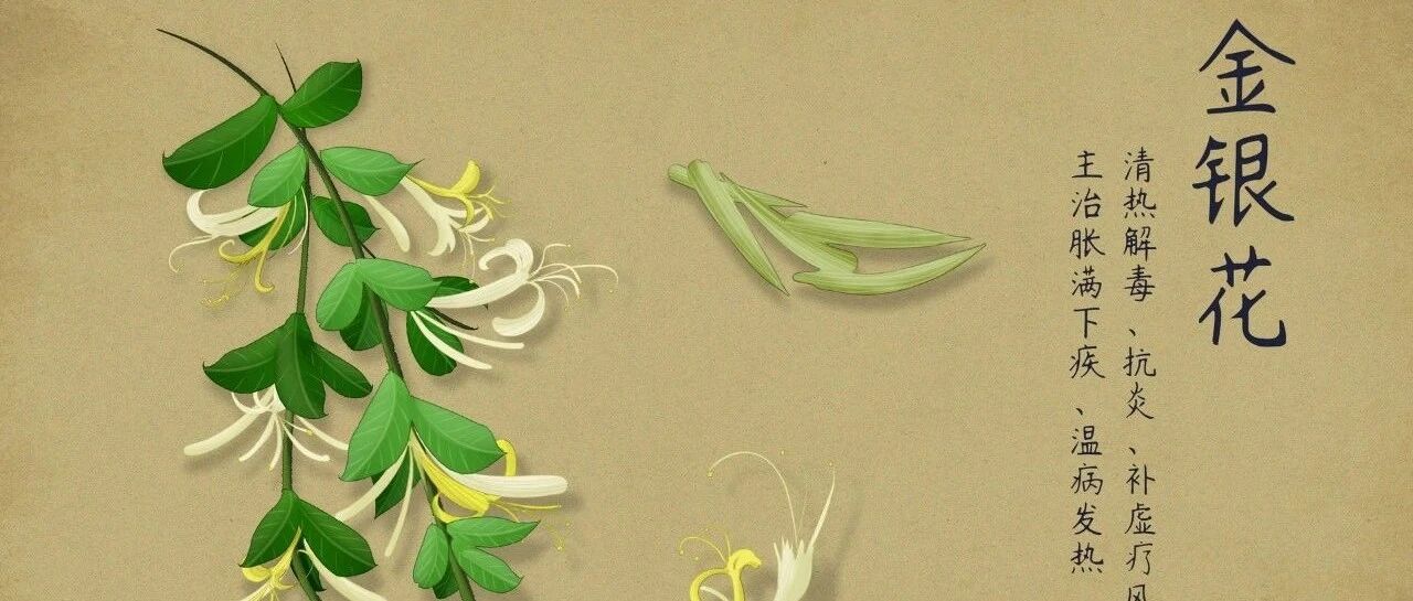 银翘解毒颗粒：适用于风热感冒和流感初期