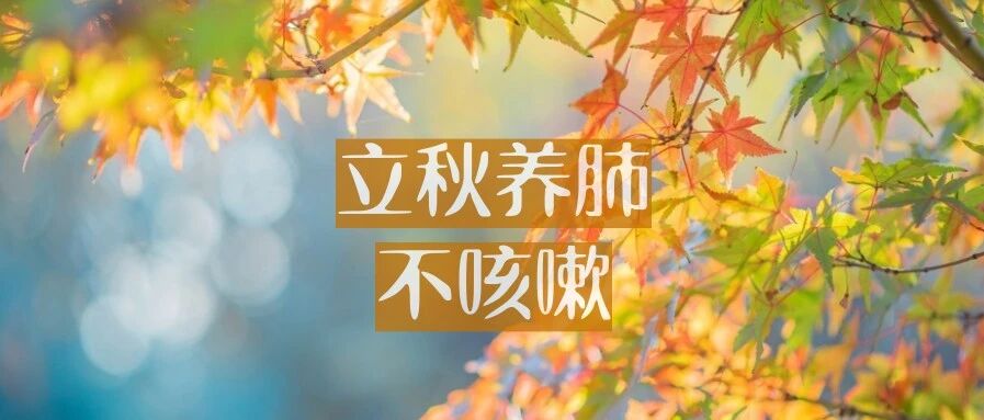 立秋养肺，不咳嗽 | 剑花排骨汤