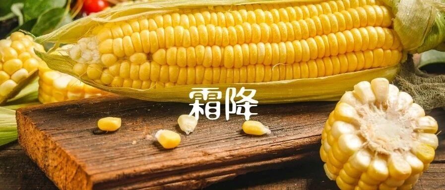 霜降，以通为补 | 玉米粒粥