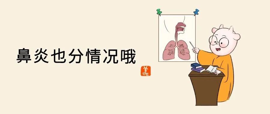 鼻炎合集（上）| 10个人里10个都得过鼻炎，来看看你是哪种类型的鼻炎？