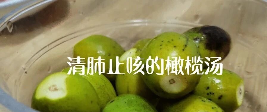 苦涩过后便是甘甜 | 清肺止咳的橄榄汤