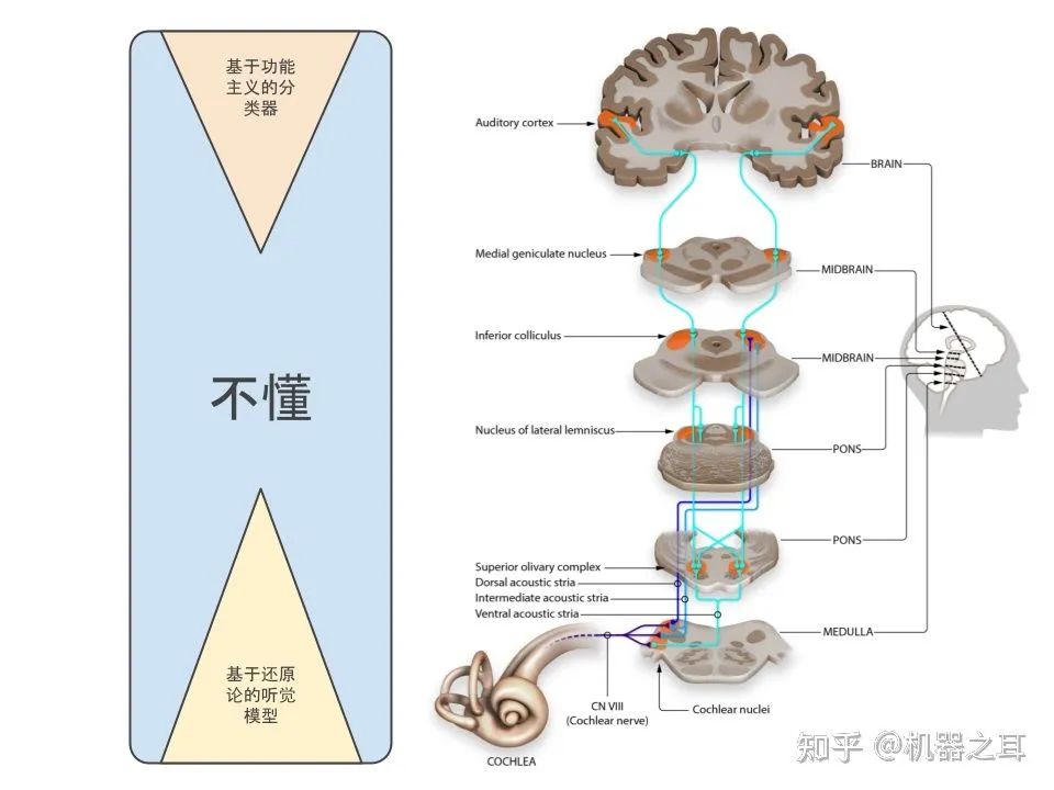 声学的未来三十年的图2