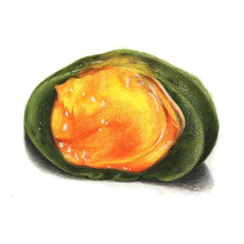 驴大萌彩铅教程芒果青团手绘美食甜品