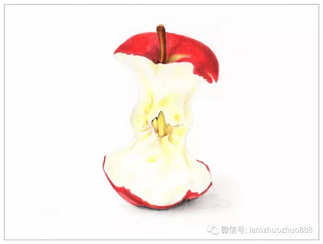 【驴大萌彩铅教程】手绘水果 苹果核