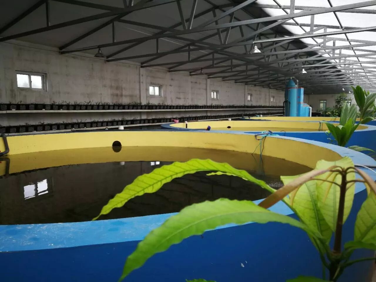 合同节水推荐技术:海容模块温室高效节水水产养殖技术