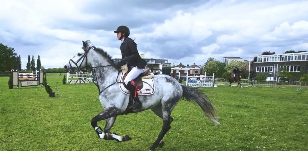 南天名苑即将推新，均价7-9.5万元/㎡！