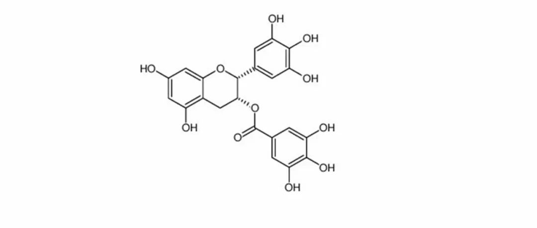 工作細胞︱喝茶的時候，身體里的細胞都在幹些什麼？ 動漫 第4張