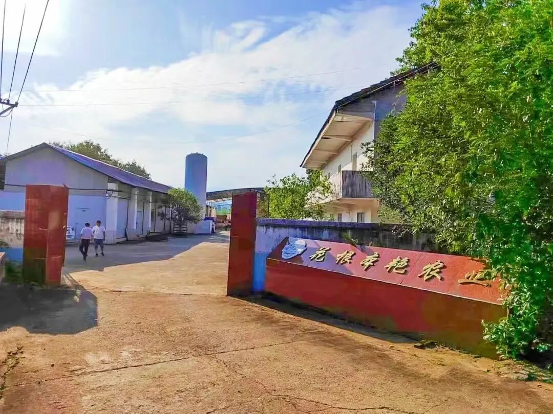 什么奇目2022夏季万载新媒体采风：是什么让记者们驻足、流连……_https://www.jmylbn.com_新闻资讯_第17张