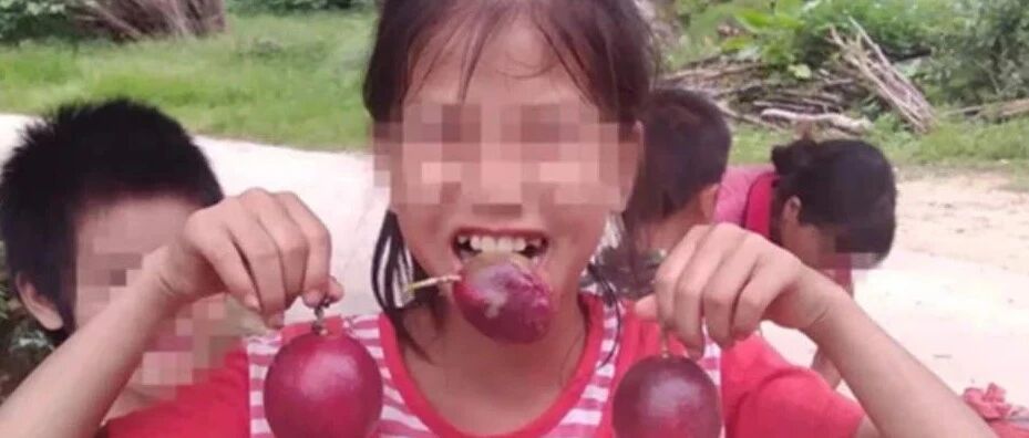 “百香果女孩遇害案”，再审！受害者家属回应