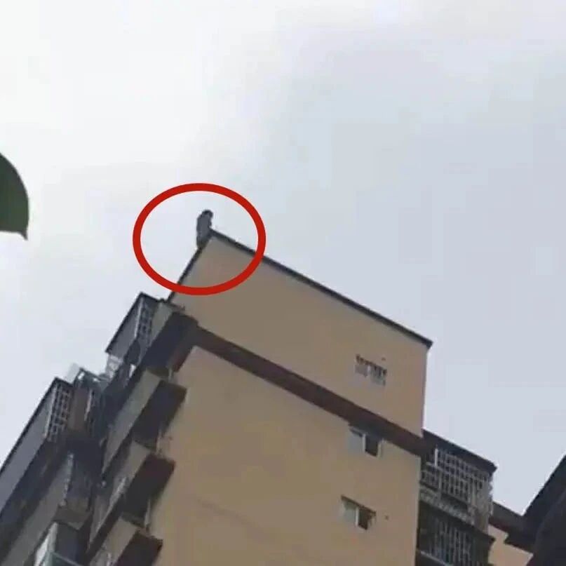 15岁女孩疑因抵触补习跳楼轻生，父亲欲接女儿被砸双双身亡